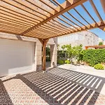 Olea Zadarvillas *