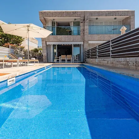 Olea Zadarvillas *
