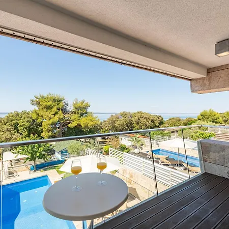 Olea Zadarvillas *